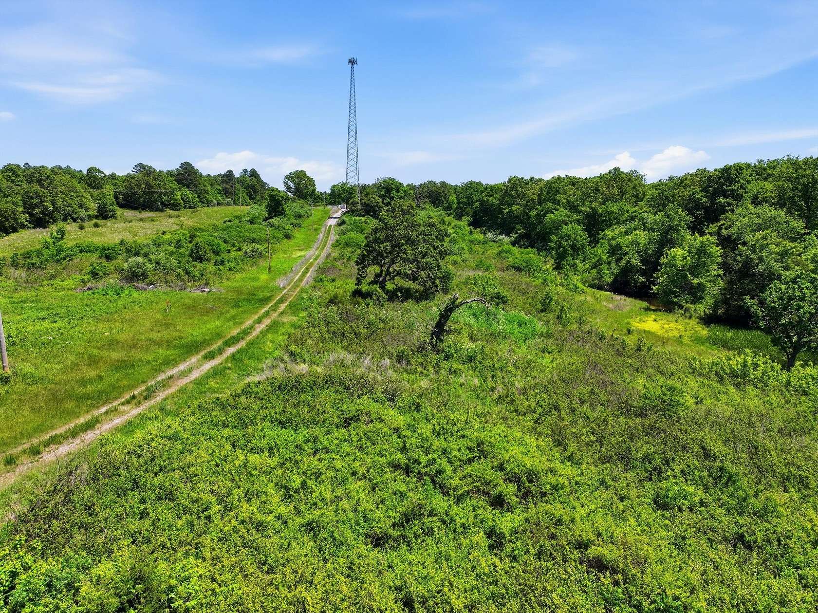12.8 Acres of Land for Sale in Mountain View, Missouri