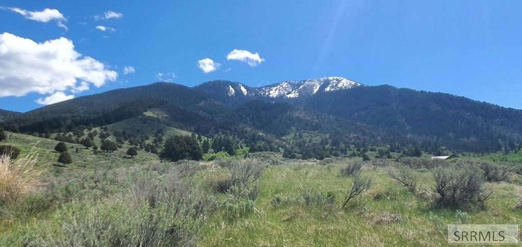 2.52 Acres of Land for Sale in Swan Valley, Idaho