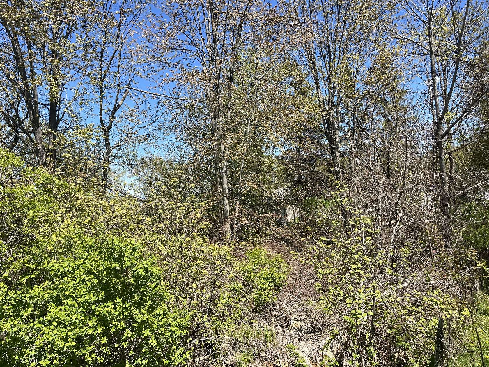 0.24 Acres of Residential Land for Sale in Houghton Lake, Michigan