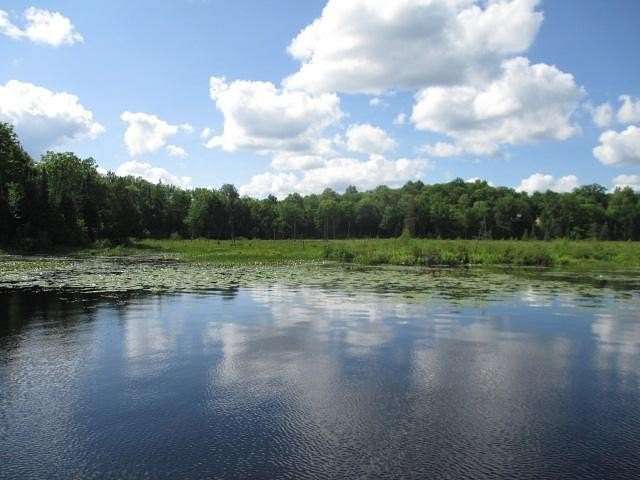 3.85 Acres of Land for Sale in Mercer, Wisconsin