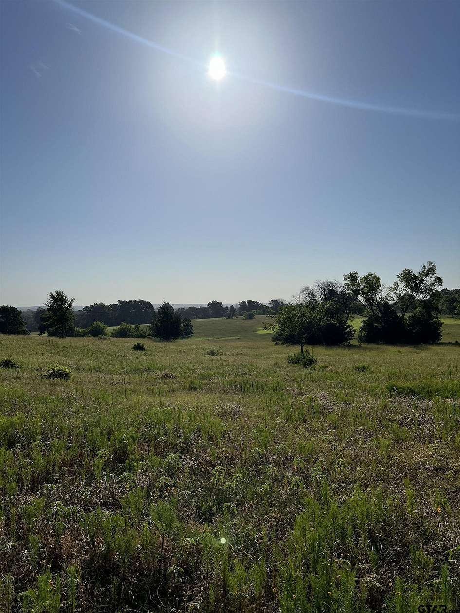 46.9 Acres of Commercial Land for Sale in Lindale, Texas
