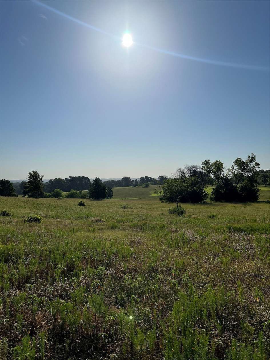 46.9 Acres of Commercial Land for Sale in Tyler, Texas