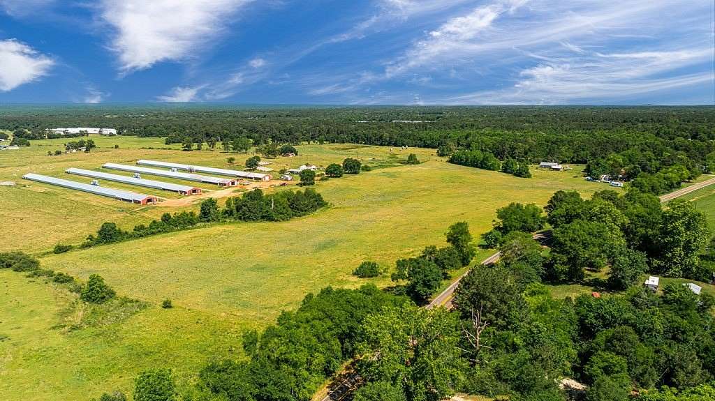 23.4 Acres of Agricultural & Residential Land for Sale in Nacogdoches, Texas