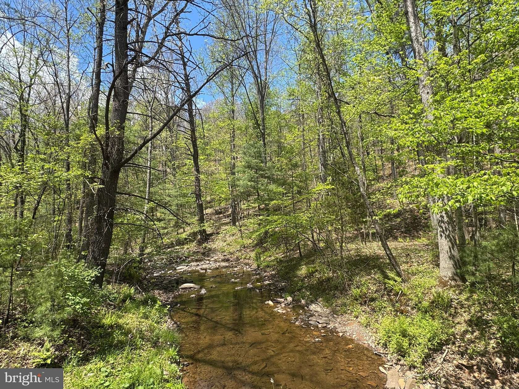 89.9 Acres of Recreational Land for Sale in Winchester, Virginia