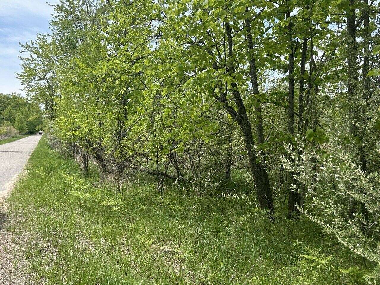 0.5 Acres of Land for Sale in Lakeview, Michigan