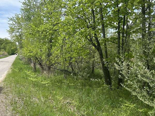 0.5 Acres of Land for Sale in Lakeview, Michigan