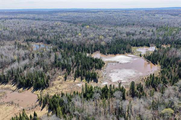 86 Acres of Recreational Land for Sale in Ewen, Michigan