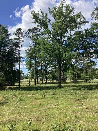 3 Acres of Land for Sale in Box Springs, Georgia