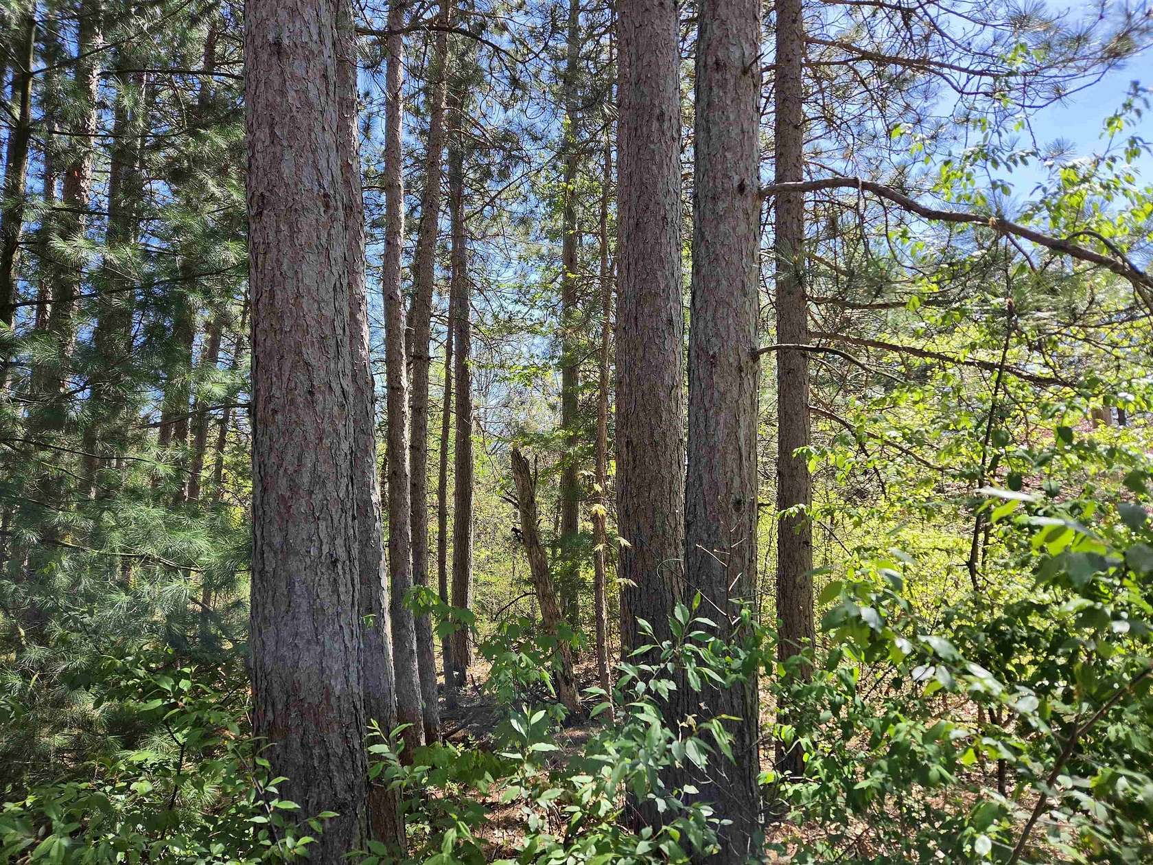 0.54 Acres of Residential Land for Sale in New Lisbon, Wisconsin
