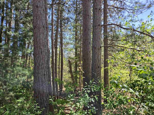0.54 Acres of Residential Land for Sale in New Lisbon, Wisconsin