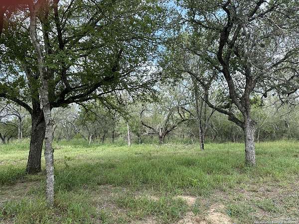 10.5 Acres of Land for Sale in Von Ormy, Texas
