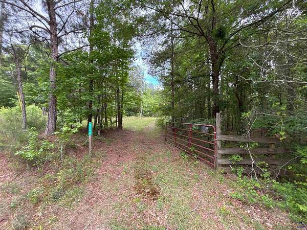 25.2 Acres of Recreational Land for Sale in Musella, Georgia