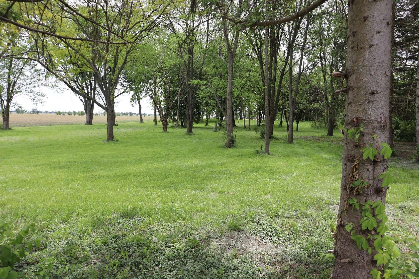 1.85 Acres of Residential Land for Sale in Sabina, Ohio