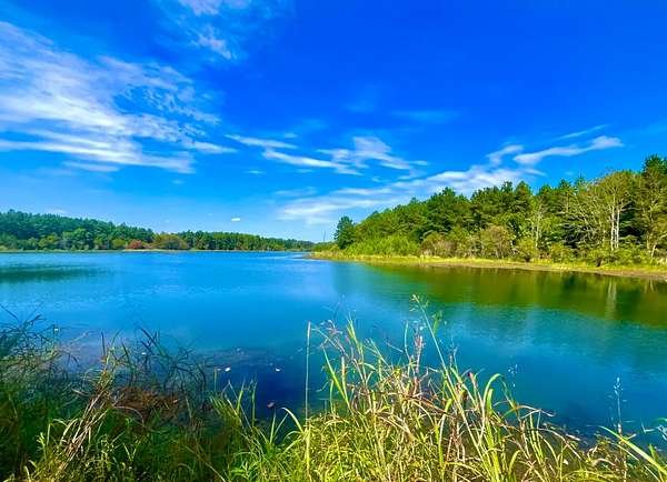 938 Acres of Recreational & Residential Land for Sale in Emelle, Alabama