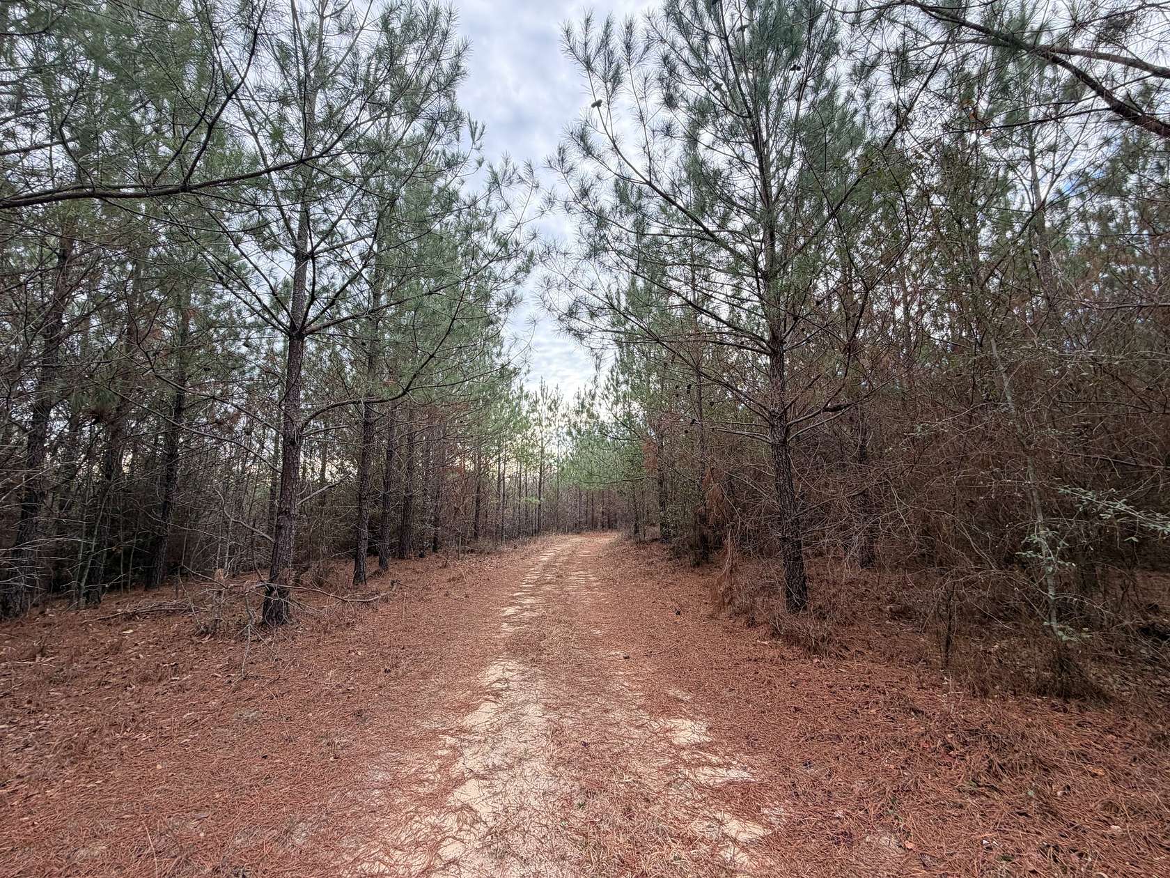 236 Acres of Recreational Land for Sale in Sandersville, Georgia