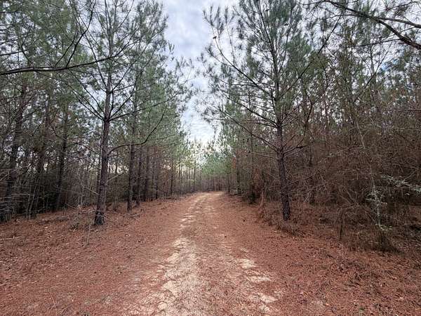 236 Acres of Recreational Land for Sale in Sandersville, Georgia