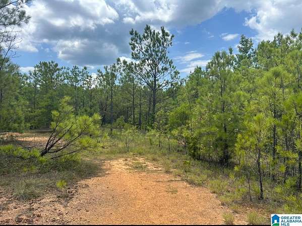 23.4 Acres of Recreational & Residential Land for Sale in West Blocton, Alabama