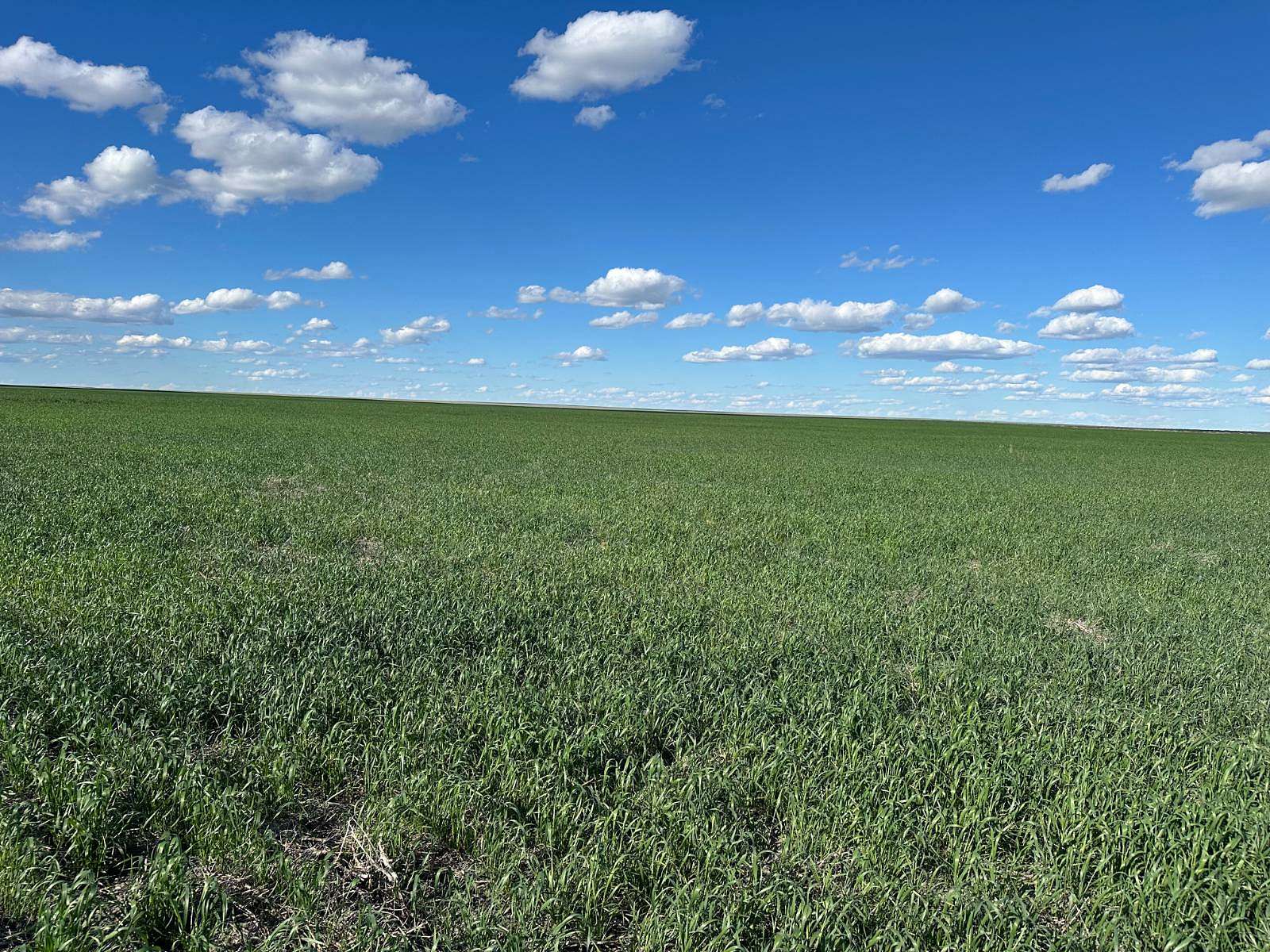 960 Acres of Land for Sale in Havre, Montana