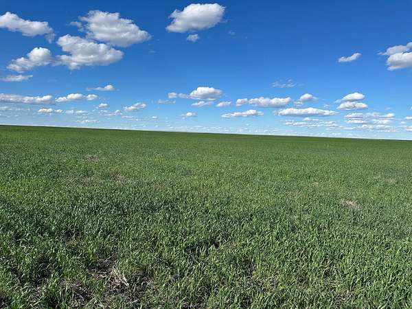 960 Acres of Land for Sale in Havre, Montana