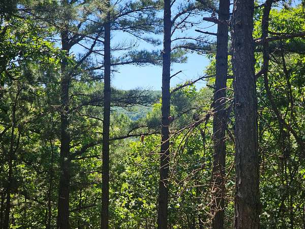 16.5 Acres of Land for Sale in Talihina, Oklahoma
