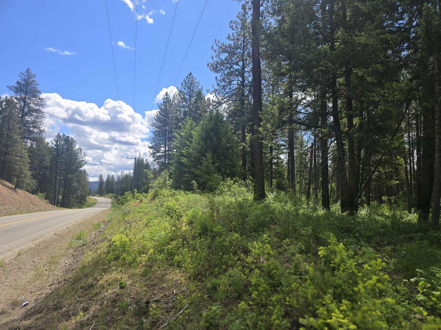 147 Acres of Land for Sale in Colville, Washington