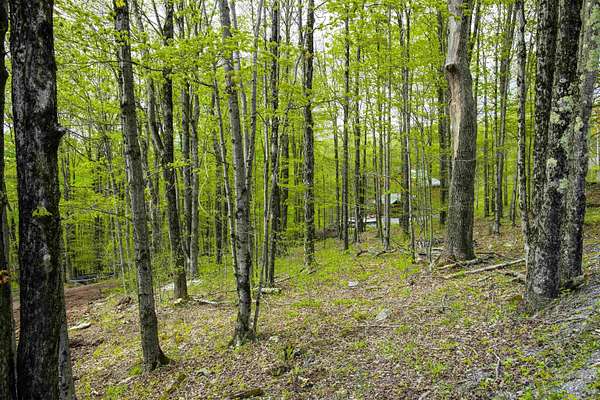 2.5 Acres of Residential Land for Sale in Davis, West Virginia