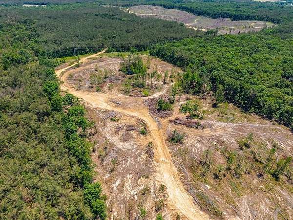 40 Acres of Recreational Land for Sale in Water Valley, Mississippi