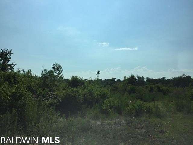 74 Acres of Land for Sale in Daphne, Alabama