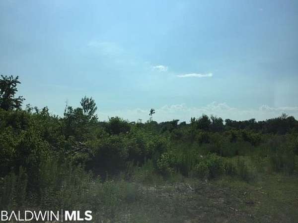 74 Acres of Land for Sale in Daphne, Alabama