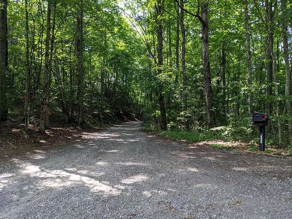 10.8 Acres of Land for Sale in Hayesville, North Carolina