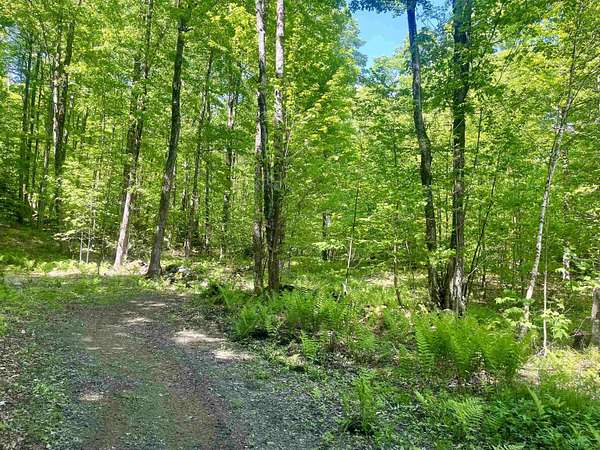 6 Acres of Residential Land for Sale in Chittenden, Vermont