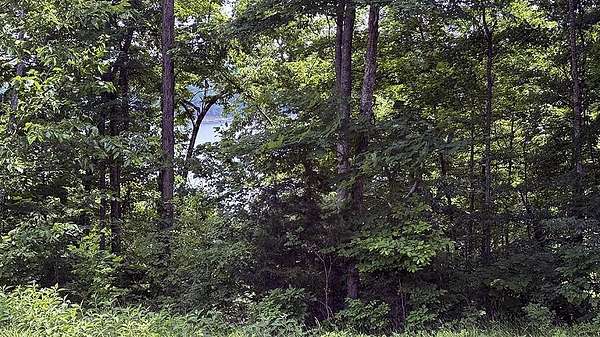 1 Acre of Land for Sale in Monticello, Kentucky