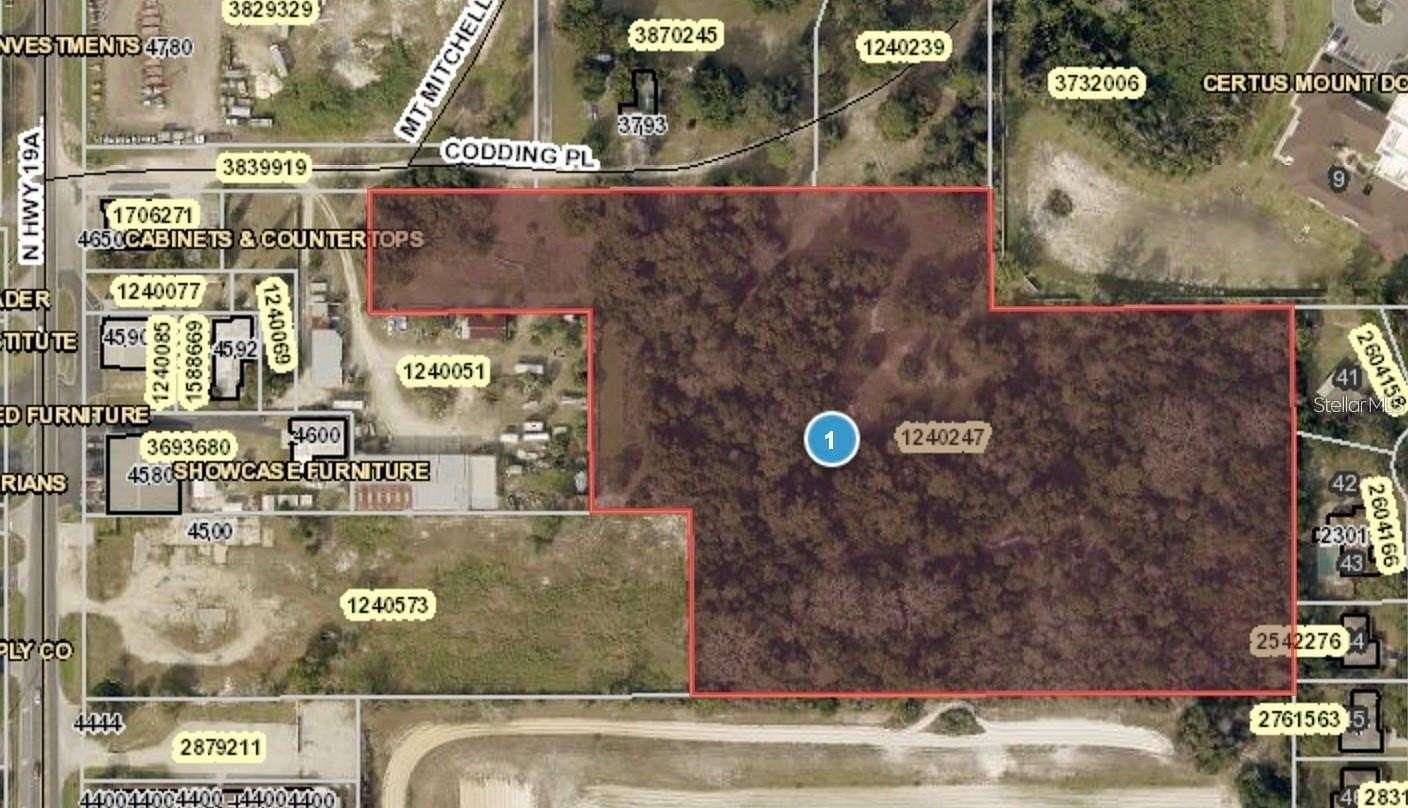 8.84 Acres of Residential Land for Sale in Mount Dora, Florida