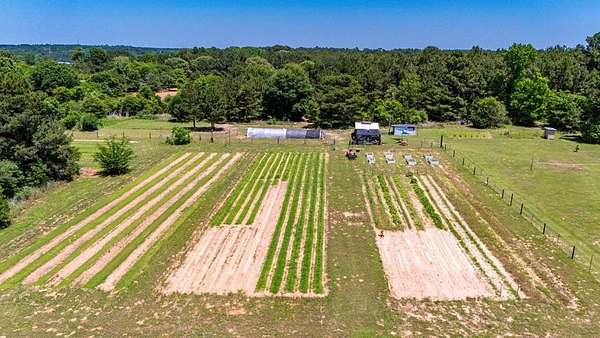 10.9 Acres of Land with Home for Sale in Nacogdoches, Texas