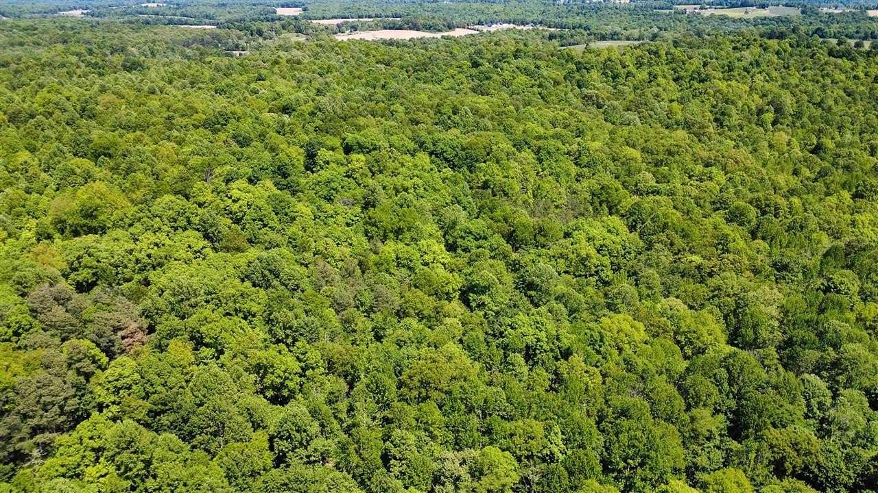 40 Acres of Recreational Land for Sale in Fordsville, Kentucky