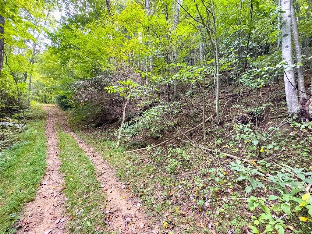 0.96 Acres of Residential Land for Sale in Fancy Gap, Virginia