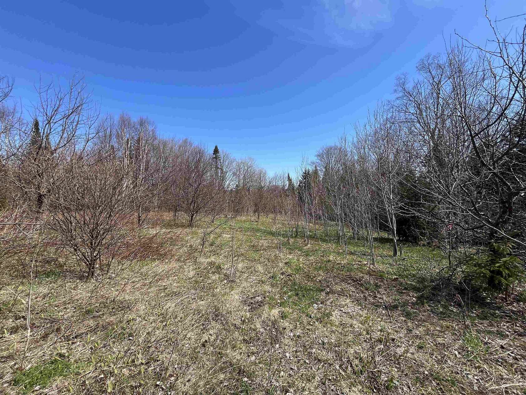 4 Acres of Residential Land for Sale in Westmore, Vermont