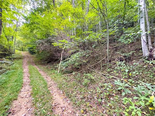 0.67 Acres of Residential Land for Sale in Fancy Gap, Virginia