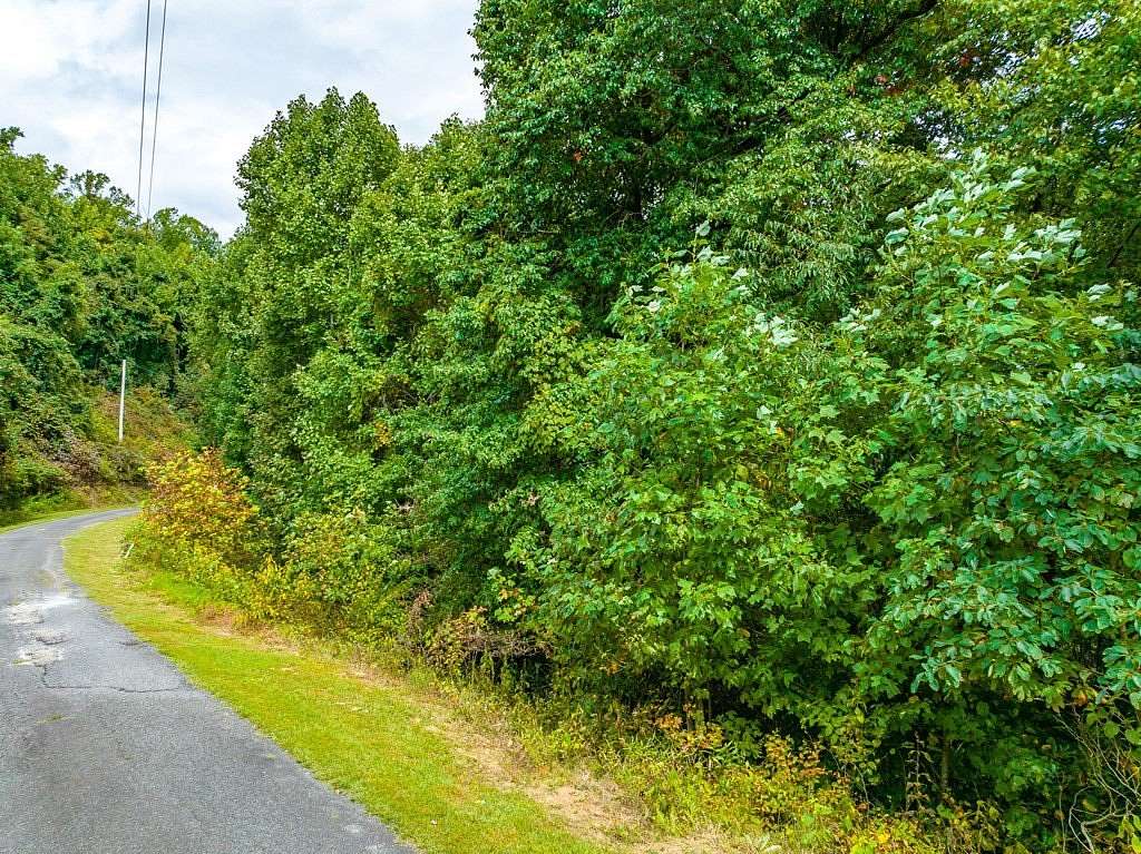 0.63 Acres of Residential Land for Sale in Fancy Gap, Virginia