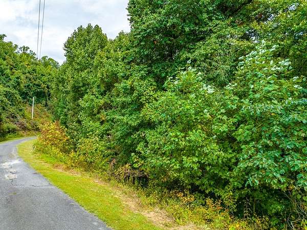 0.63 Acres of Residential Land for Sale in Fancy Gap, Virginia