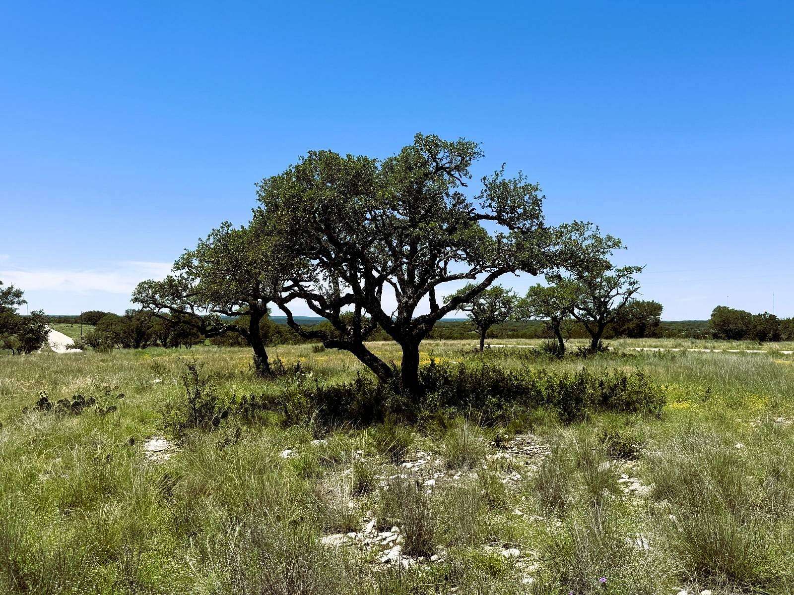 10 Acres of Recreational & Residential Land for Sale in Junction, Texas