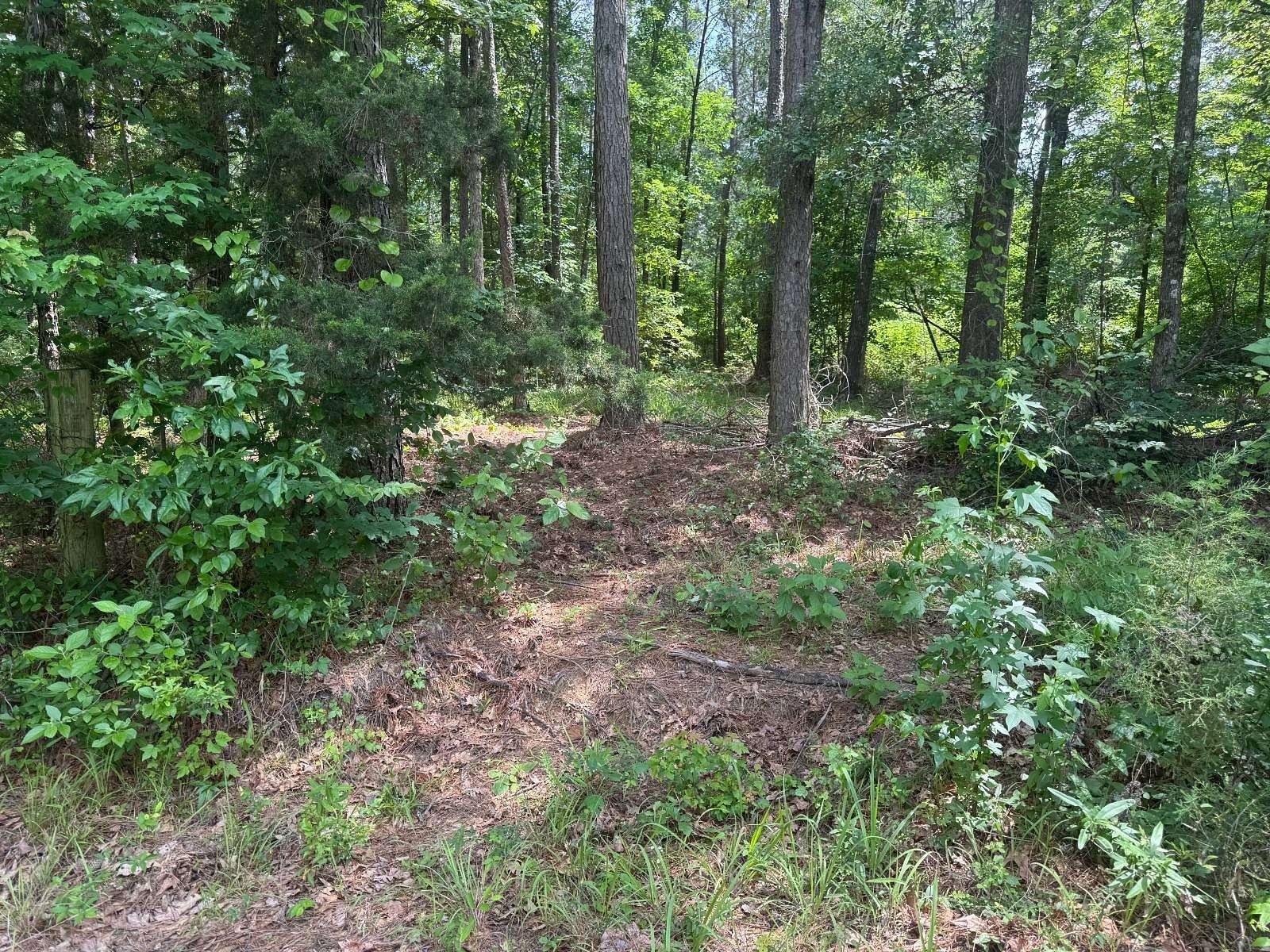 21.8 Acres of Recreational Land for Sale in Fouke, Arkansas