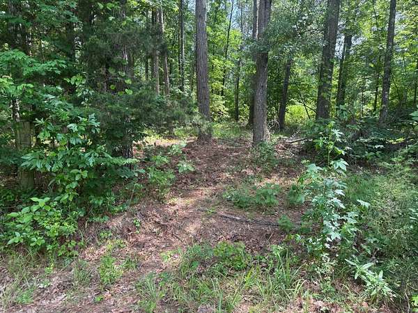 21.8 Acres of Recreational Land for Sale in Fouke, Arkansas