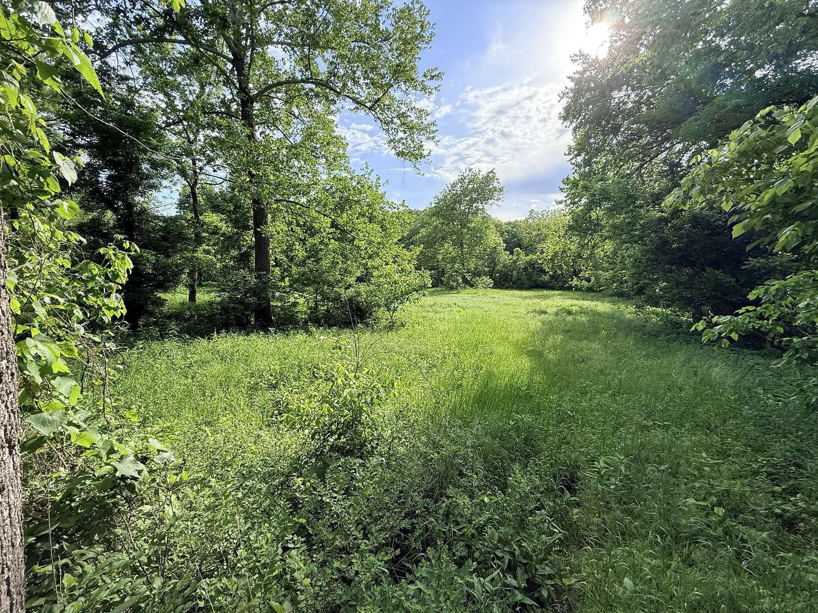 25 Acres of Land for Sale in Gravois Mills, Missouri