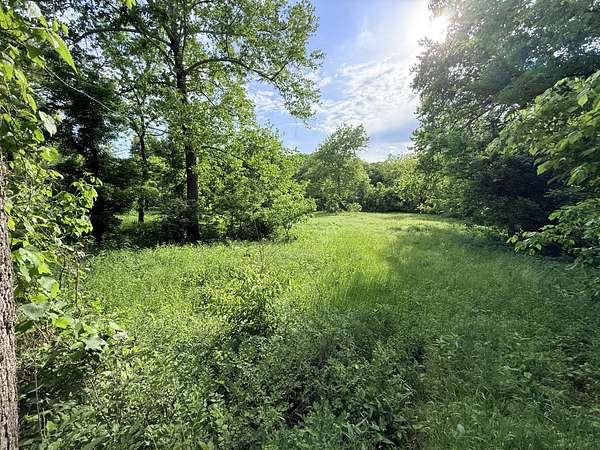 25 Acres of Land for Sale in Gravois Mills, Missouri