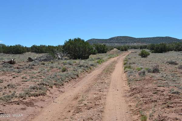 74.5 Acres of Recreational & Residential Land for Sale in Concho, Arizona