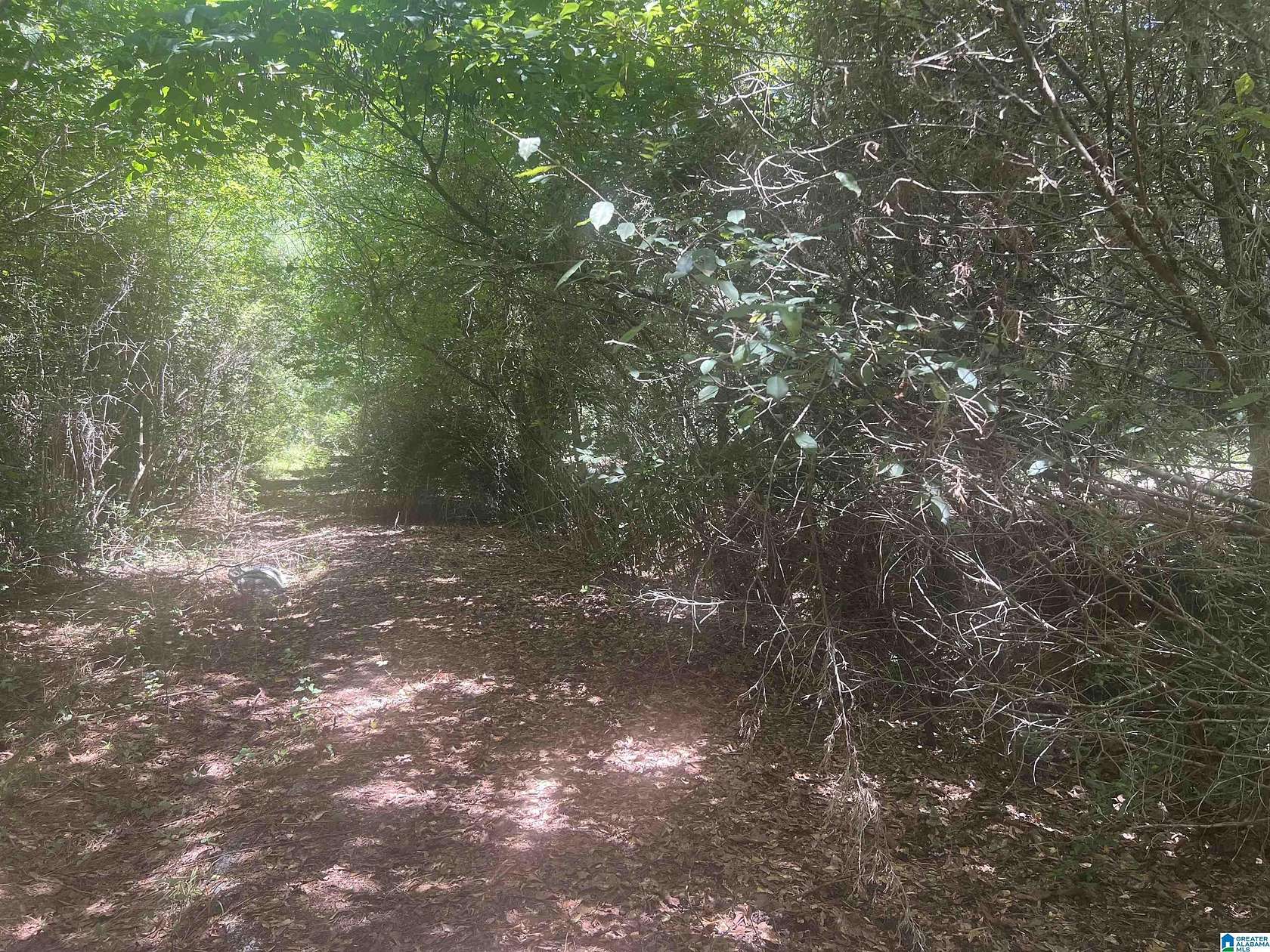 2 Acres of Residential Land for Sale in Talladega, Alabama