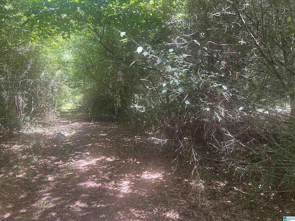 2 Acres of Residential Land for Sale in Talladega, Alabama