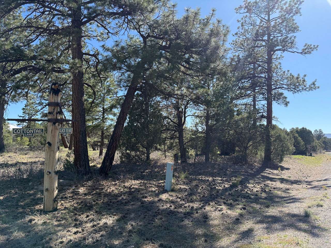 2 Acres of Residential Land for Sale in Ridgway, Colorado