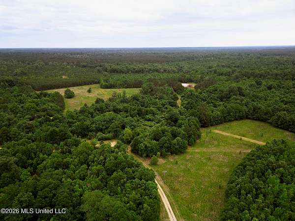 161 Acres of Land for Sale in Gloster, Mississippi